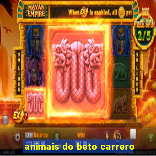 animais do beto carrero